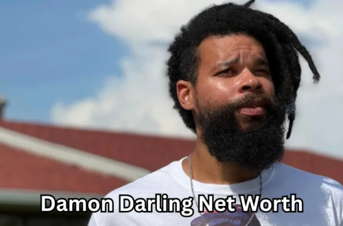 Damon Darling Net Worth: Career, Income Sources, and Financial Success