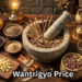Wantrigyo Price: Complete Breakdown, Plans, and What You Actually Get